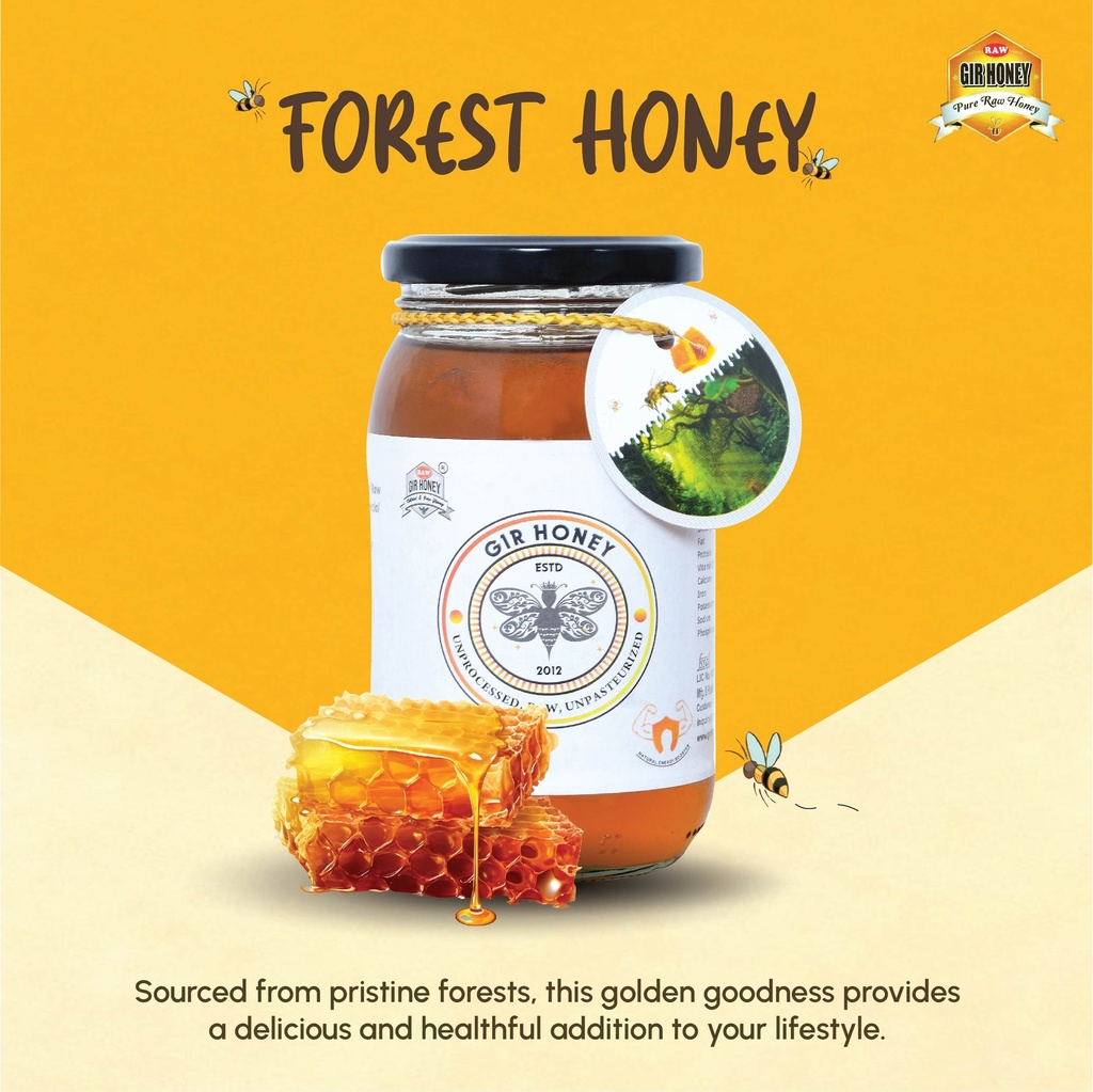 GIR HONEY Wild Forest Organic Raw Honey | NMR Tested 100% Raw & Pure Honey | Unprocessed, Unpasteurized, Unheated & Unadulterated | 500gm Jar