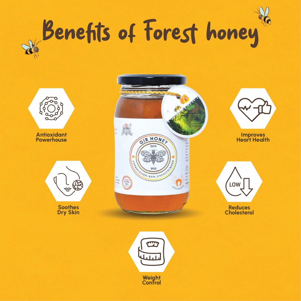 GIR HONEY Wild Forest Organic Raw Honey | NMR Tested 100% Raw & Pure Honey | Unprocessed, Unpasteurized, Unheated & Unadulterated | 500gm Jar