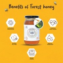 GIR HONEY Wild Forest Organic Raw Honey | NMR Tested 100% Raw & Pure Honey | Unprocessed, Unpasteurized, Unheated & Unadulterated | 500gm Jar