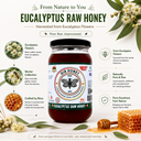 GIR HONEY Eucalyptus Organic Raw Honey | NMR Tested 100% Raw & Pure Honey | Unprocessed, Unpasteurized, Unheated & Unadulterated | 500gm Jar